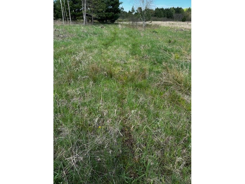 000 Granton Road Neillsville WI 54456 - Spooner Creek 1599400 image16