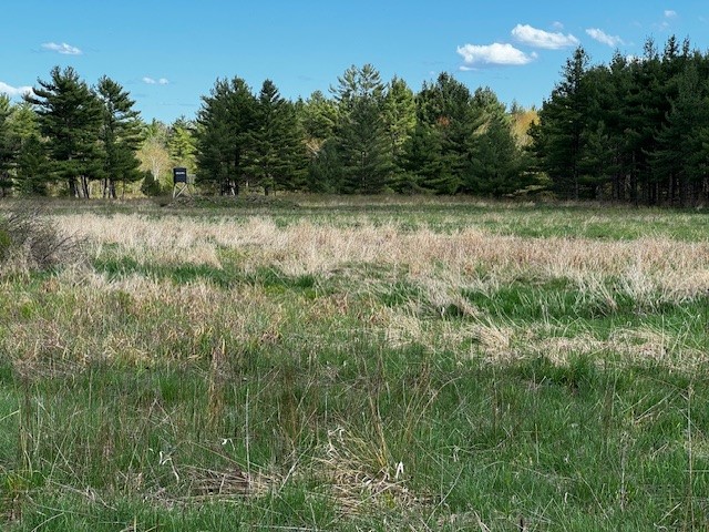 000 Granton Road Neillsville WI 54456 - Spooner Creek 1599400 image20
