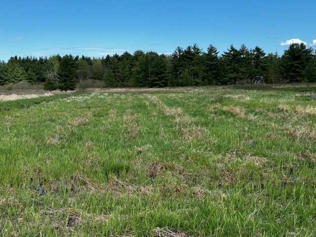 000 Granton Road Neillsville WI 54456 - Spooner Creek 1599400 image21