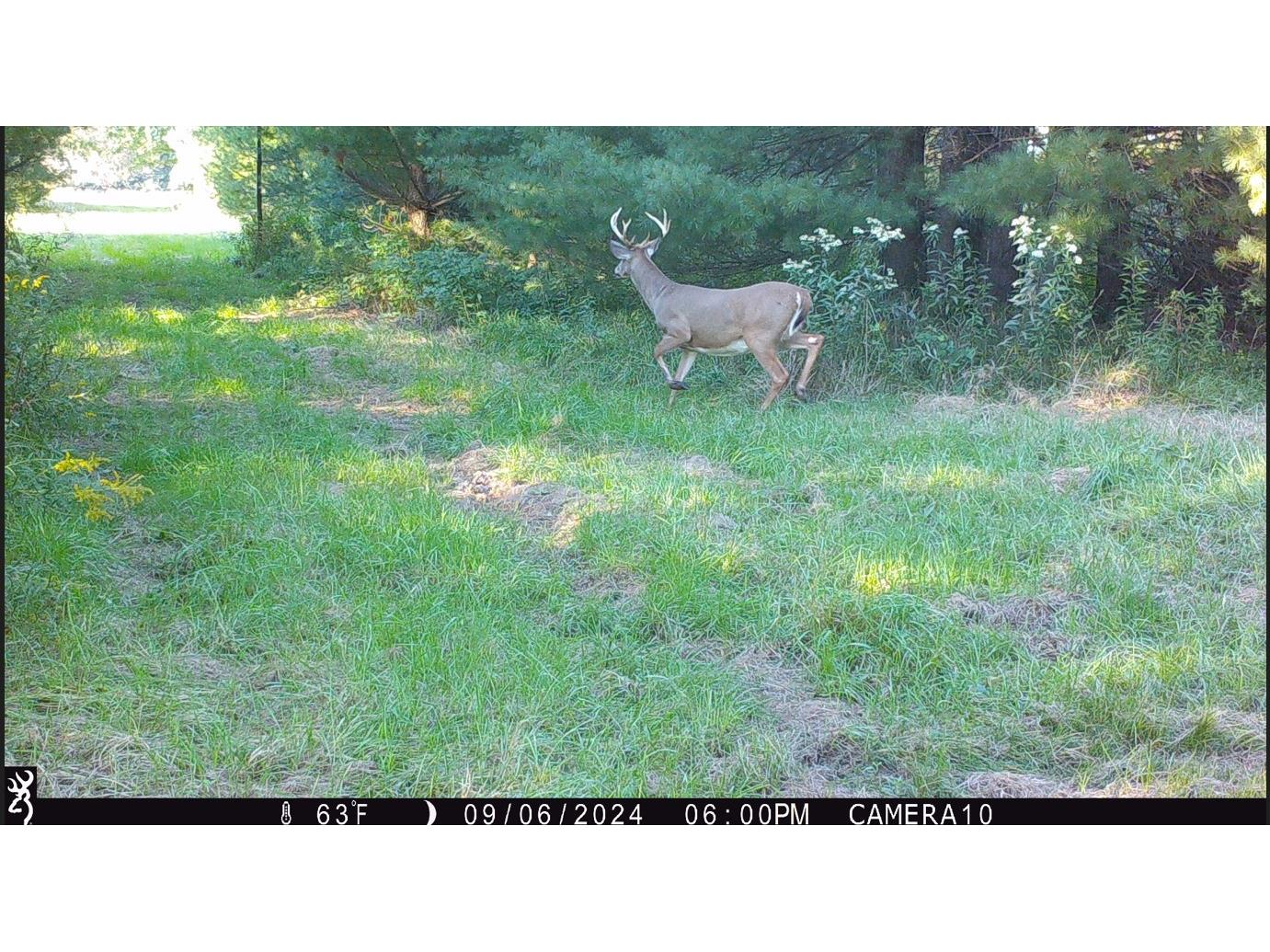 000 Granton Road Neillsville WI 54456 - Spooner Creek 1599400 image22