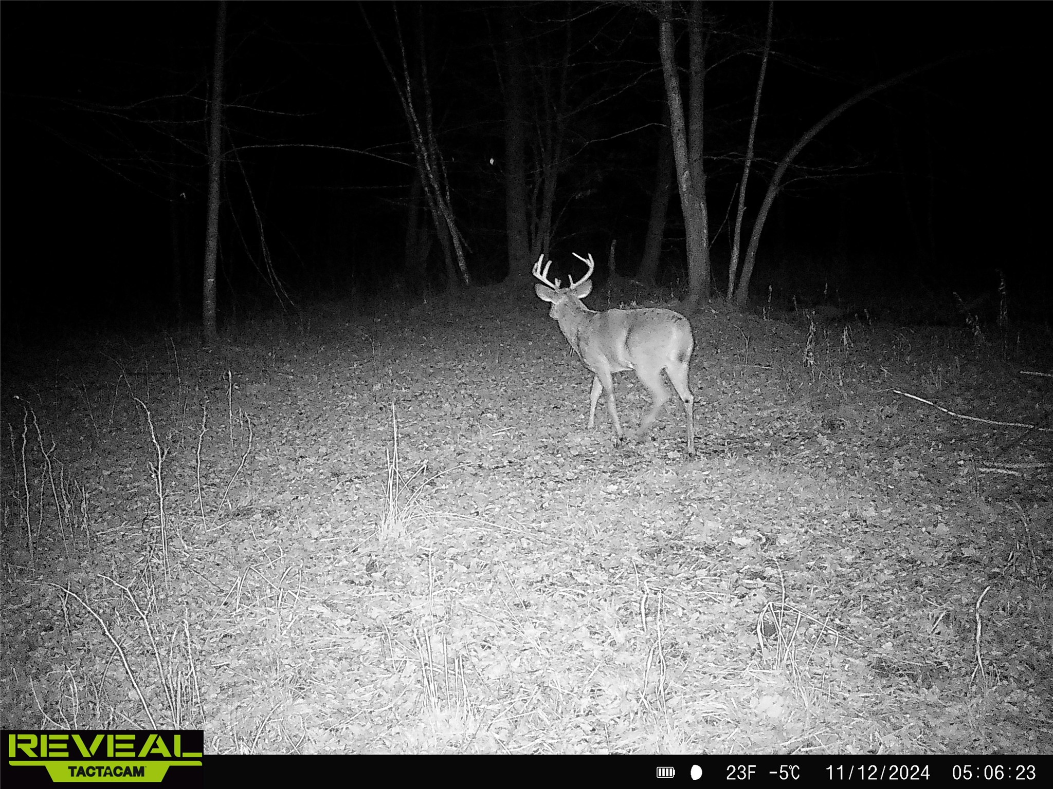 000 Granton Road Neillsville WI 54456 - Spooner Creek 1599400 image24