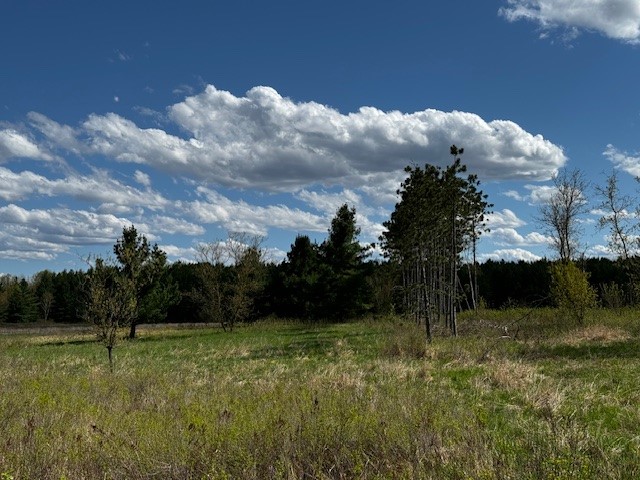000 Granton Road Neillsville WI 54456 - Spooner Creek 1599400 image27