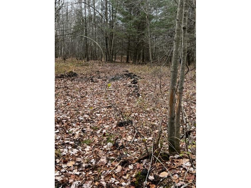 000 Granton Road Neillsville WI 54456 - Spooner Creek 1599400 image4