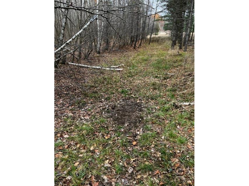 000 Granton Road Neillsville WI 54456 - Spooner Creek 1599400 image5