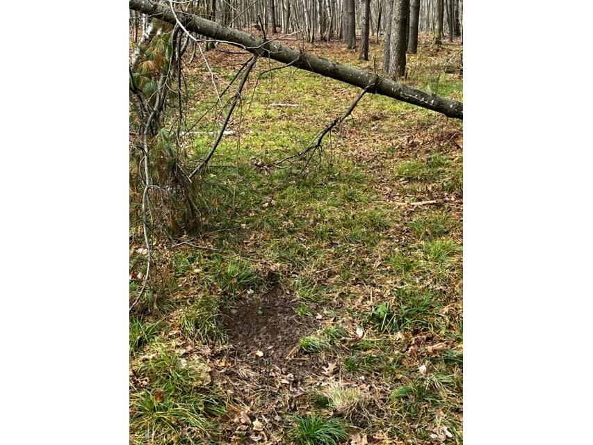 000 Granton Road Neillsville WI 54456 - Spooner Creek 1599400 image6