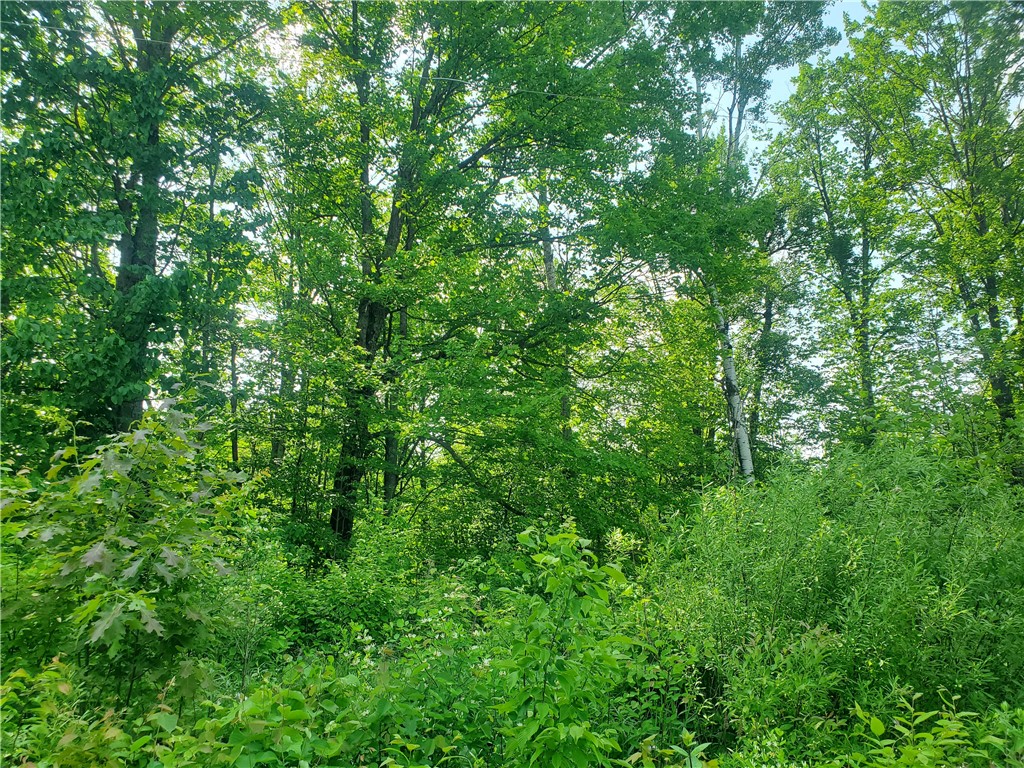 000 Highway 27 Exeland WI 54835 1588347 image2