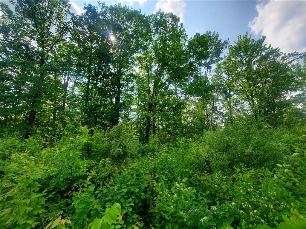 000 Highway 27 Exeland WI 54835 1588347 image3