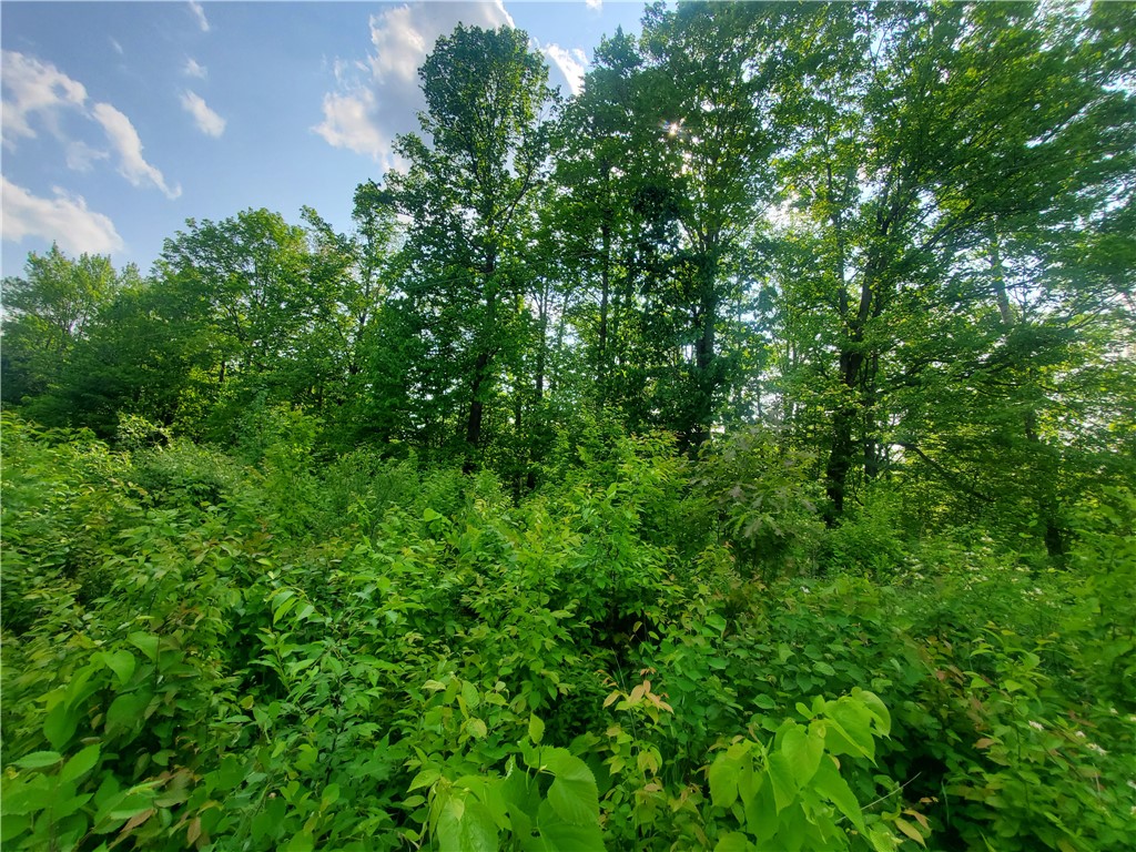 000 Highway 27 Exeland WI 54835 1588347 image4