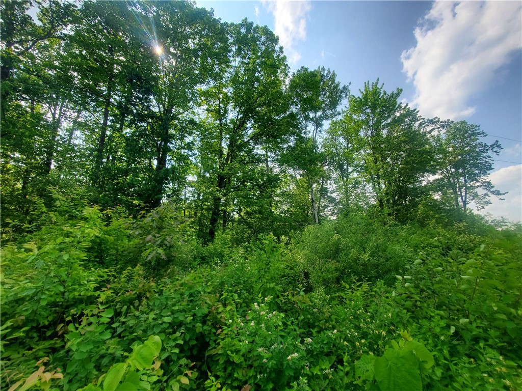 000 Highway 27 Exeland WI 54835 1588347 image6