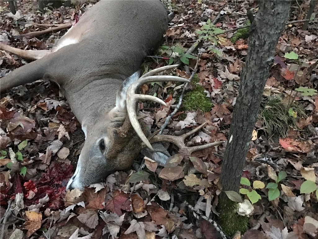 000 Historic Road Weyerhaeuser WI 54895 - POND 1595119 image13