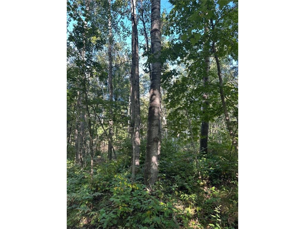 000 Historic Road Weyerhaeuser WI 54895 - POND 1595119 image18