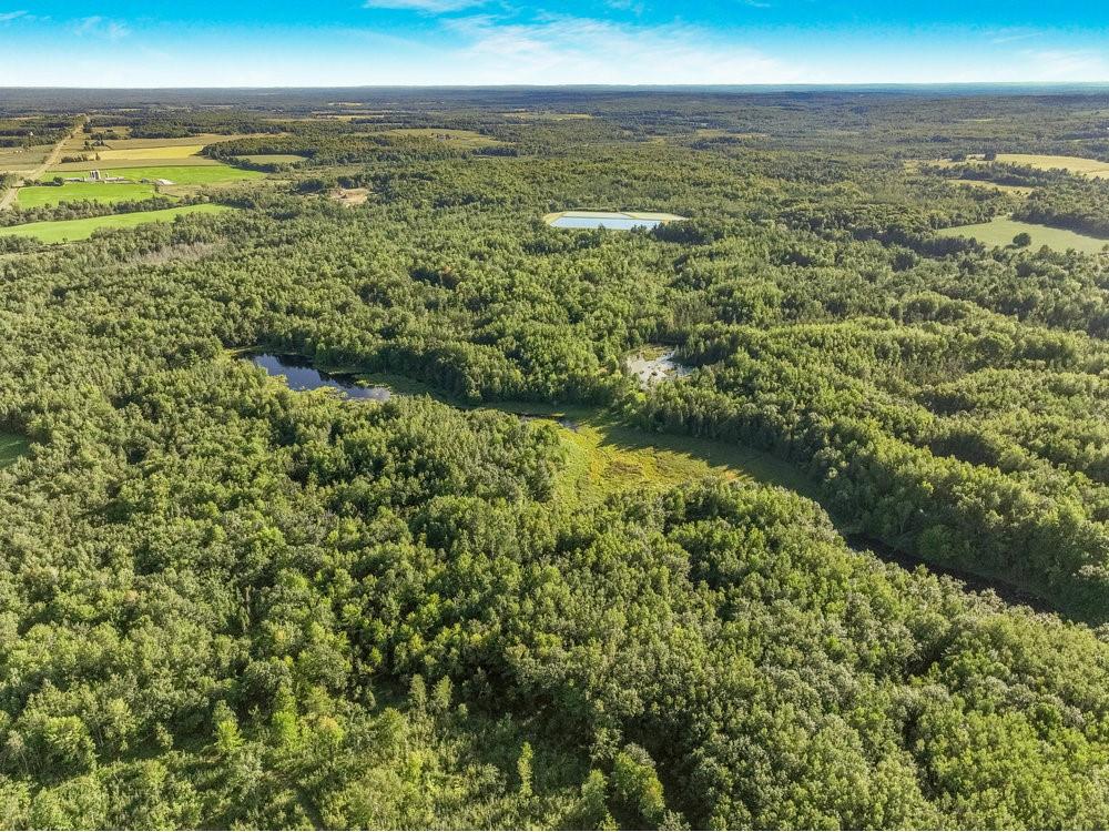 000 Historic Road Weyerhaeuser WI 54895 - POND 1595119 image6