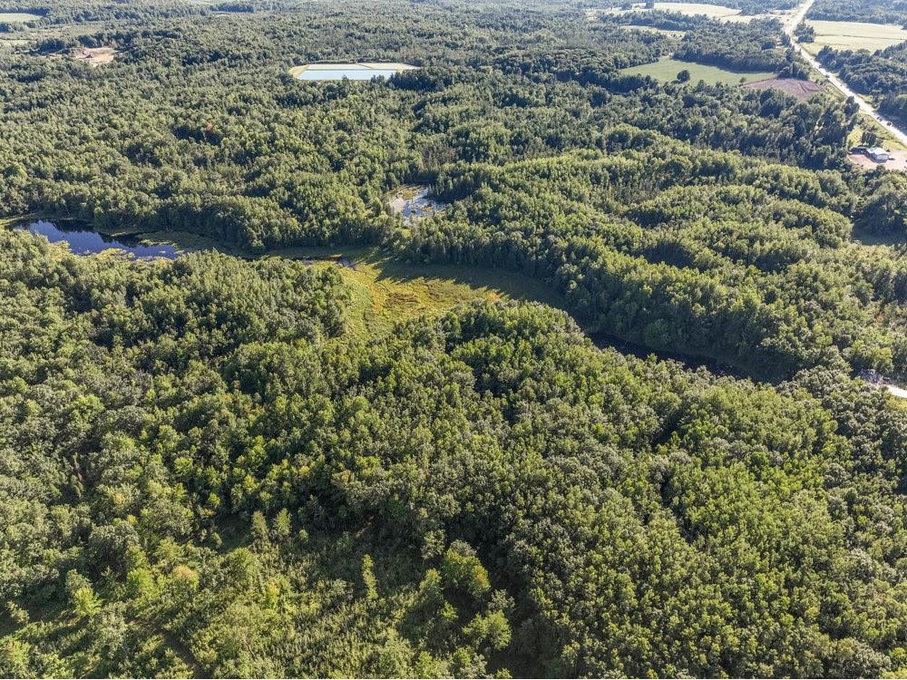 000 Historic Road Weyerhaeuser WI 54895 - POND 1595119 image7