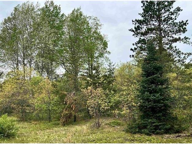 000 Jackman Lake Rd Iron River WI 54847 1573754 image1