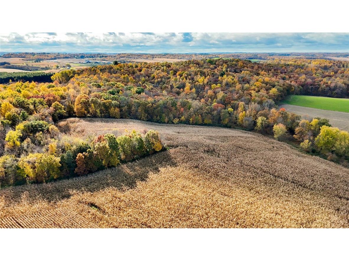 000 Kindschy Road Osseo WI 54758 1596686 image6