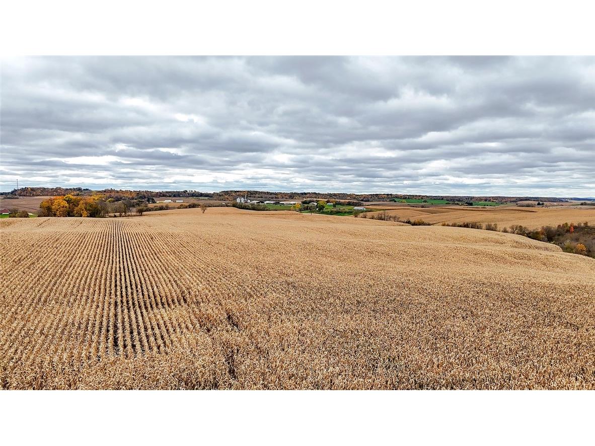 000 Kindschy Road Osseo WI 54758 1596686 image7