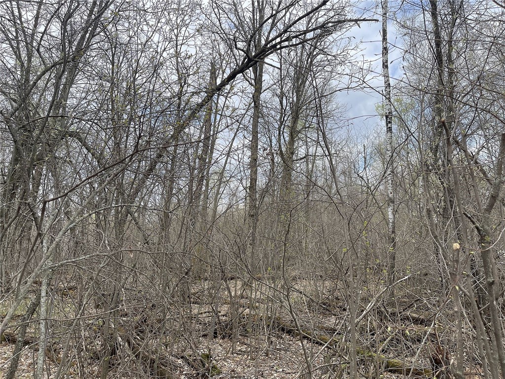 000 Nelson Road Danbury WI 54830 1570170 image1