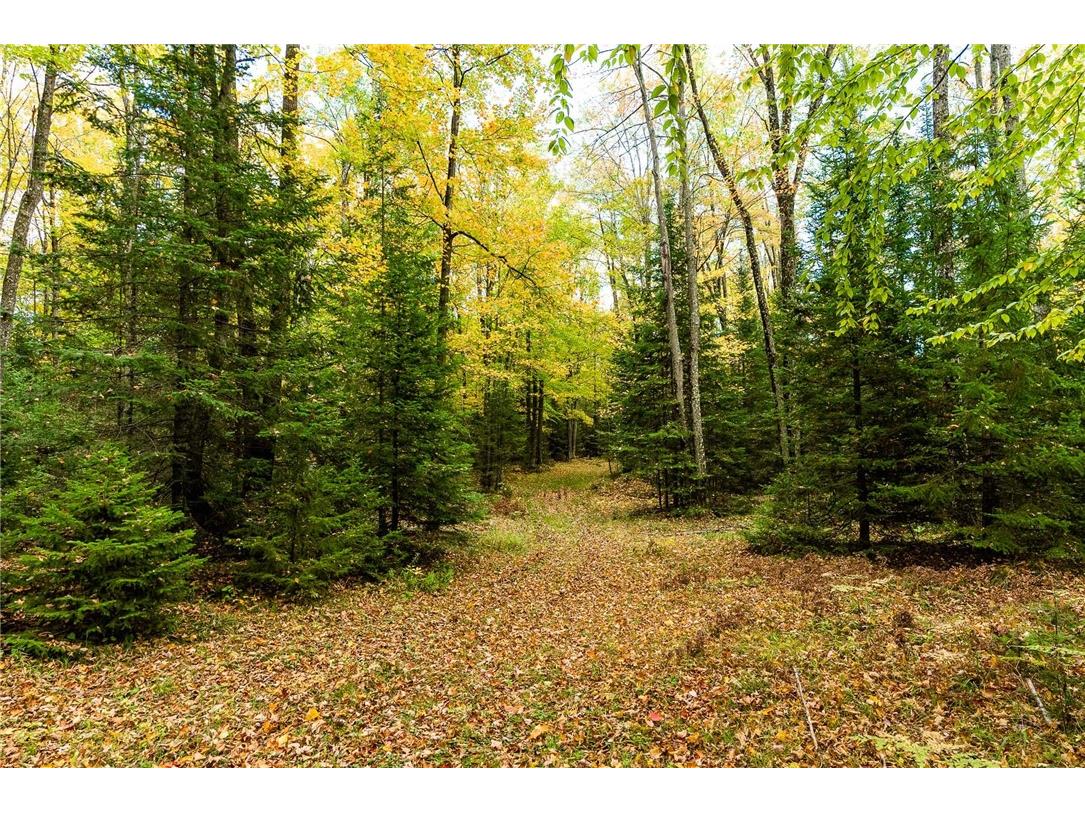 000 Padre Wittenberg WI 54499 1596245 image1