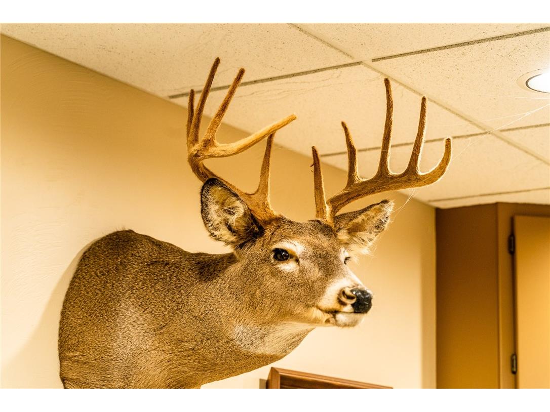 000 Padre Wittenberg WI 54499 1596245 image10