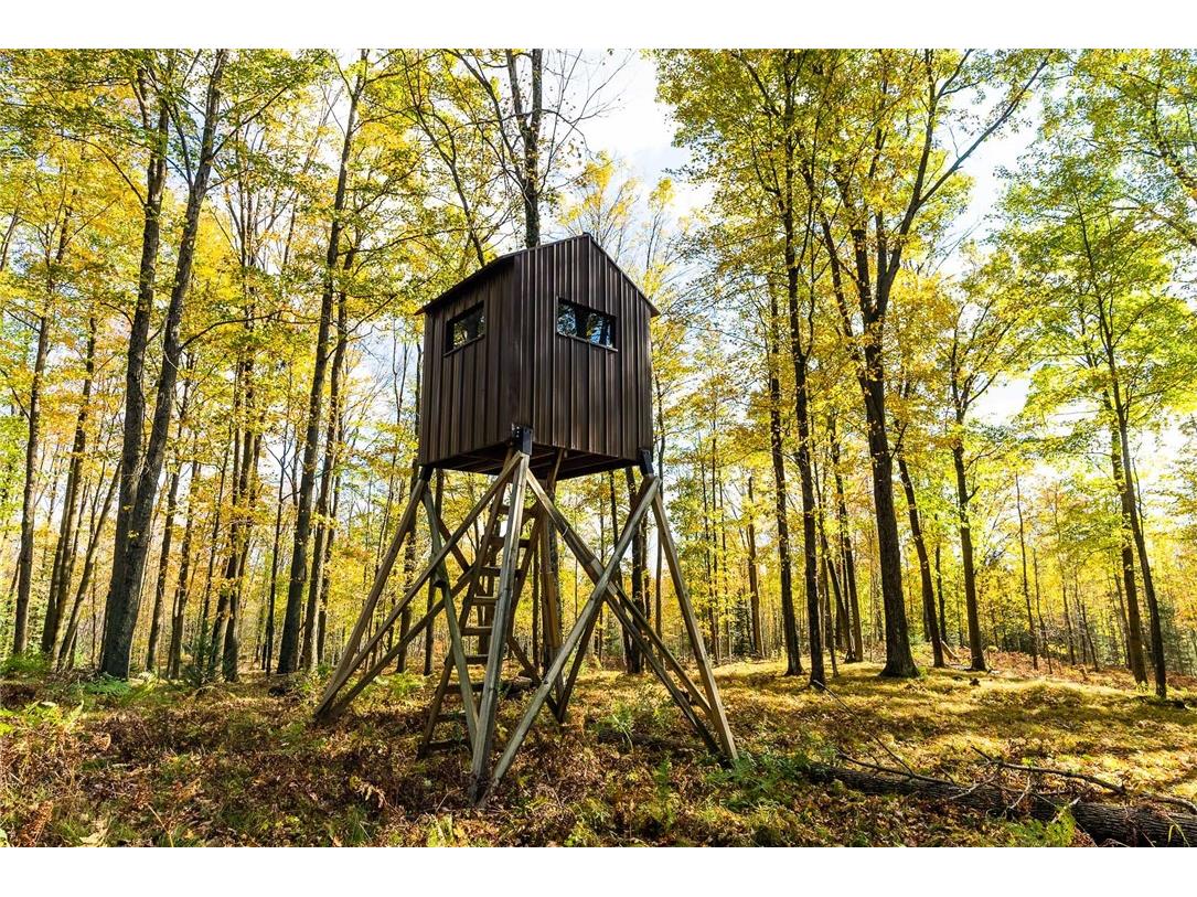 000 Padre Wittenberg WI 54499 1596245 image11