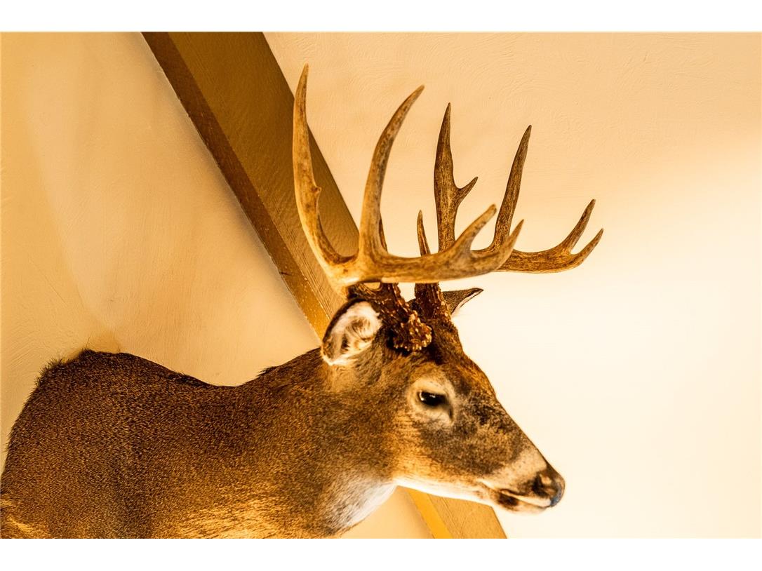 000 Padre Wittenberg WI 54499 1596245 image12