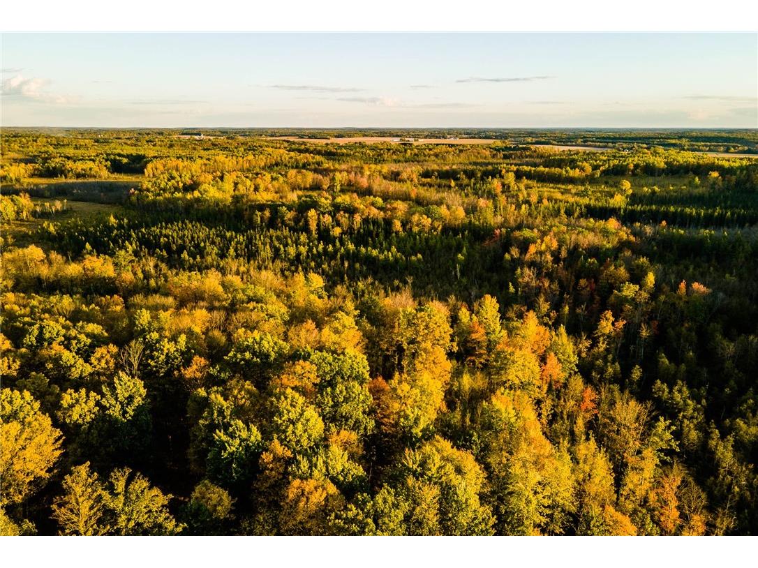 000 Padre Wittenberg WI 54499 1596245 image13