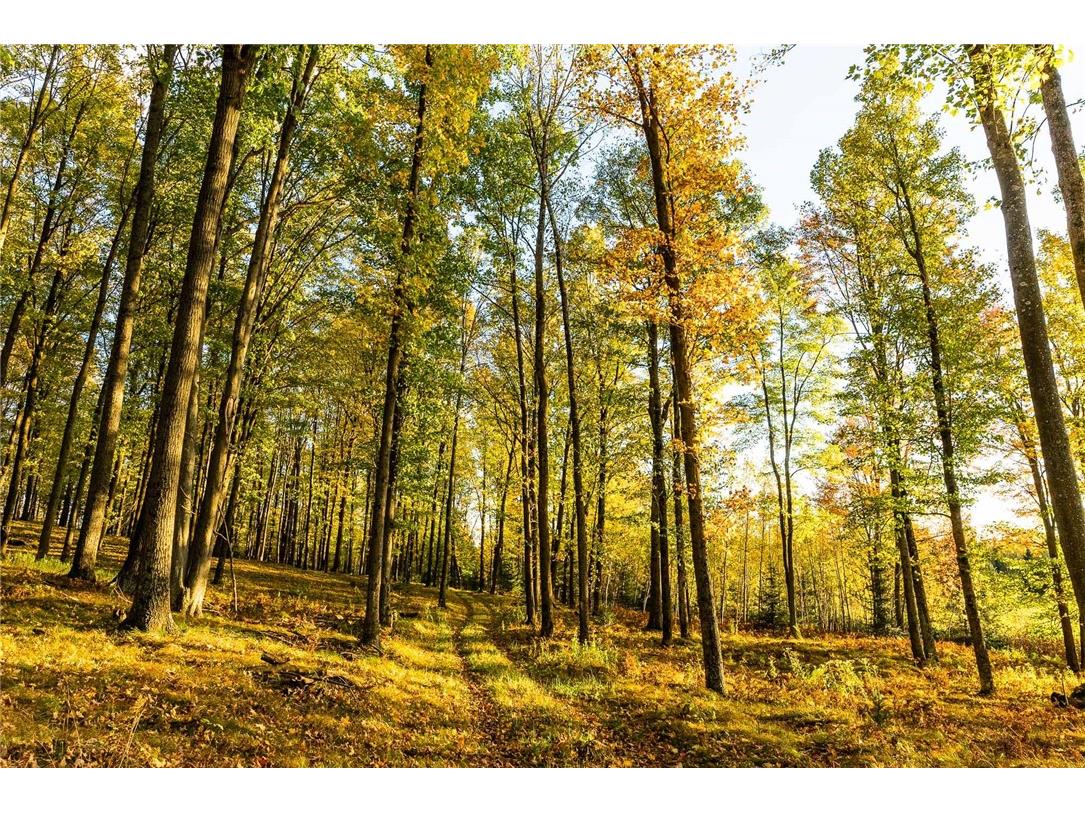 000 Padre Wittenberg WI 54499 1596245 image14