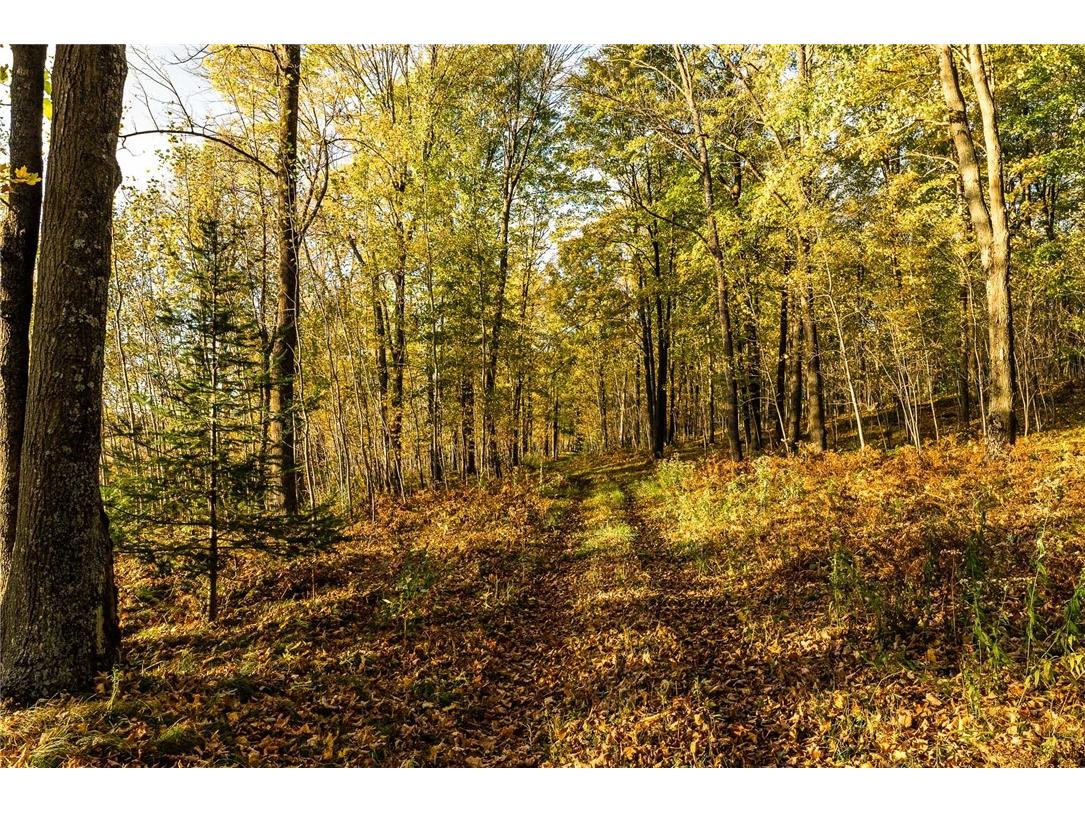 000 Padre Wittenberg WI 54499 1596245 image15