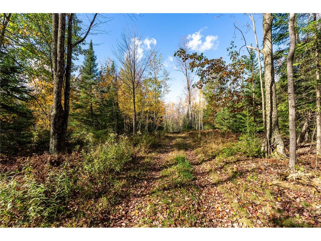 000 Padre Wittenberg WI 54499 1596245 image16