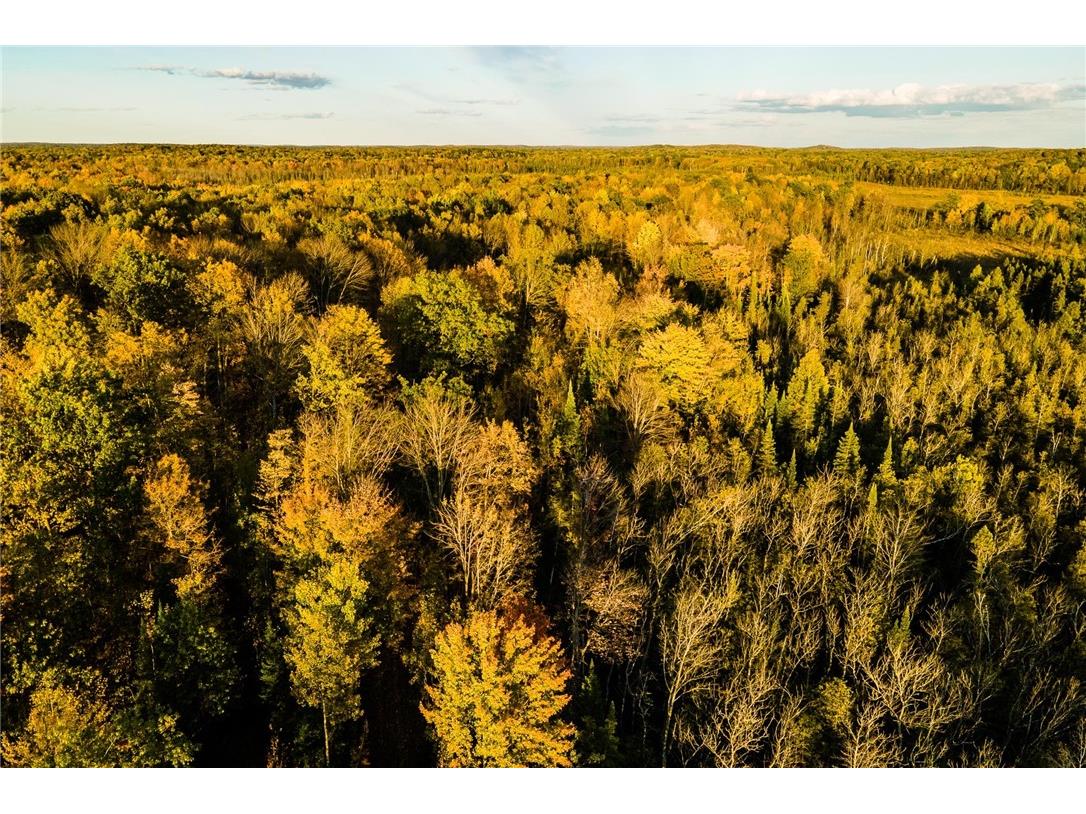 000 Padre Wittenberg WI 54499 1596245 image17