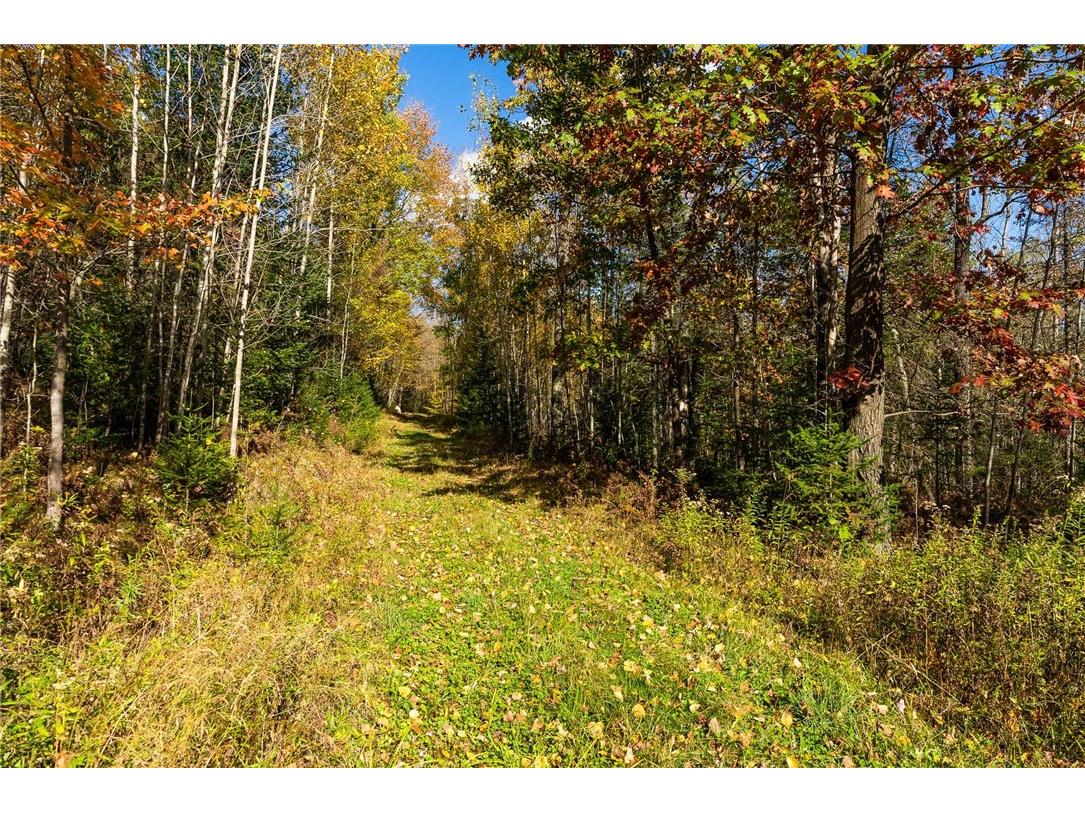 000 Padre Wittenberg WI 54499 1596245 image18