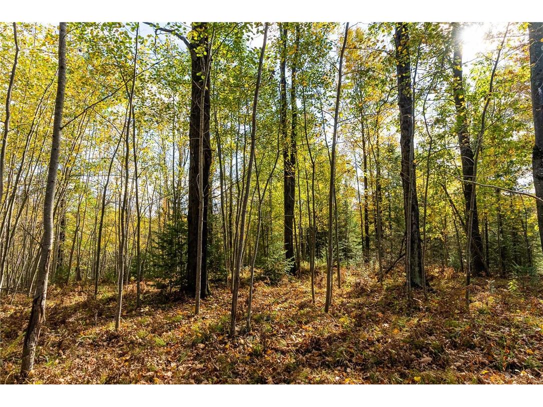 000 Padre Wittenberg WI 54499 1596245 image19