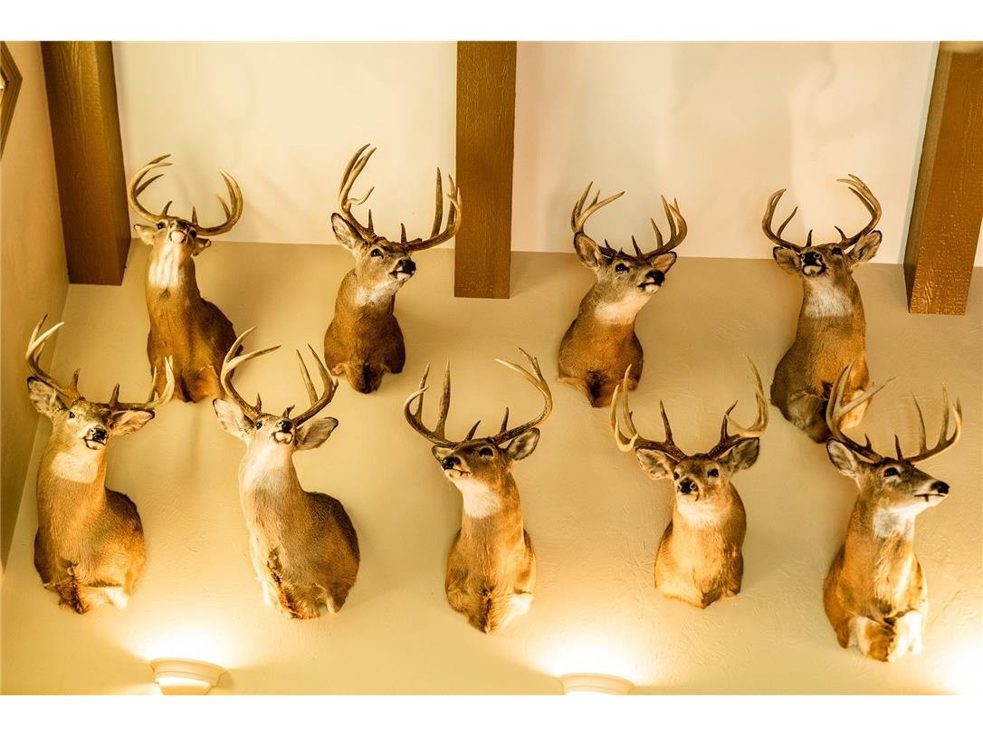 000 Padre Wittenberg WI 54499 1596245 image2