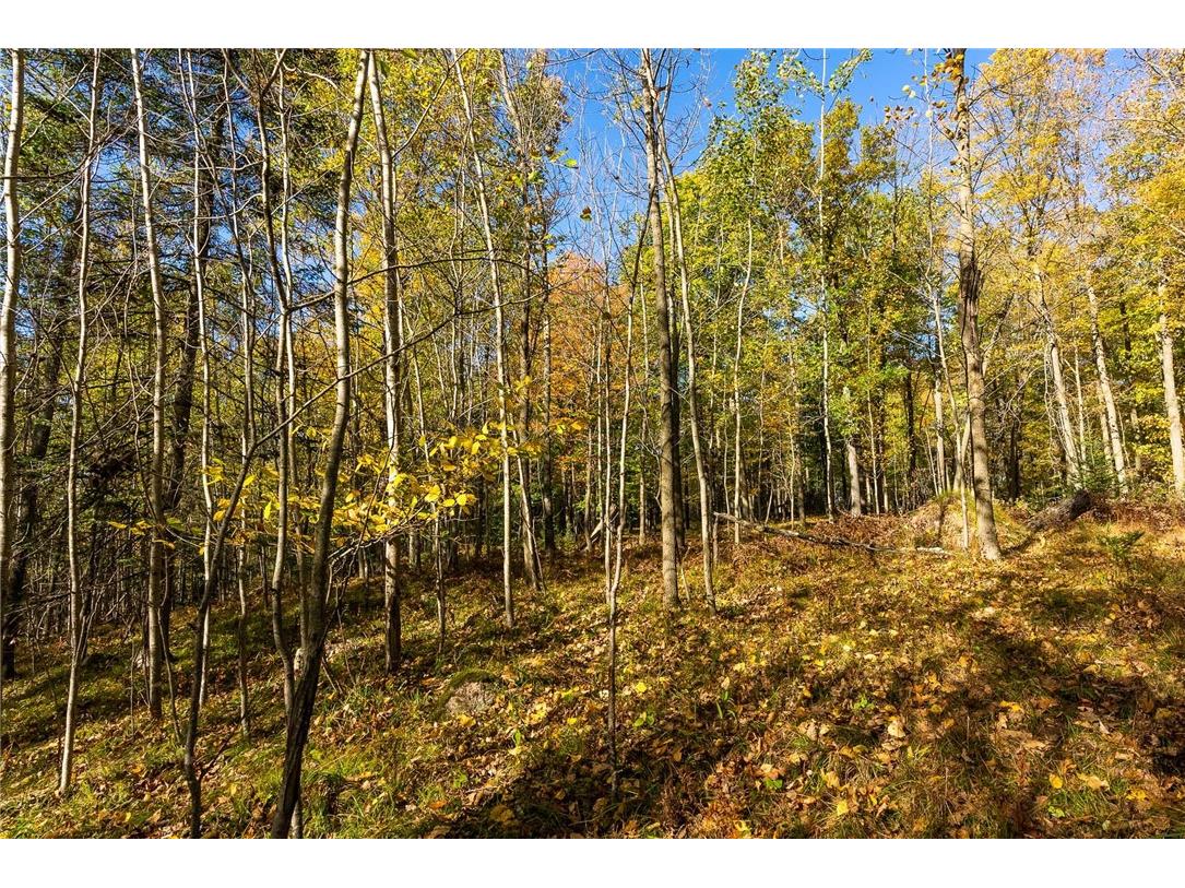 000 Padre Wittenberg WI 54499 1596245 image20