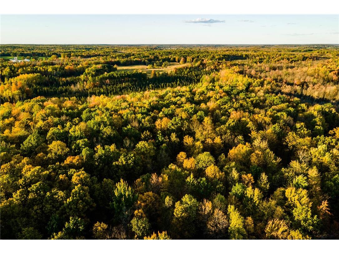 000 Padre Wittenberg WI 54499 1596245 image22