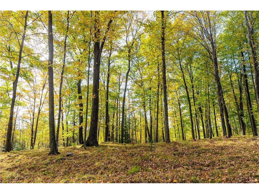 000 Padre Wittenberg WI 54499 1596245 image23