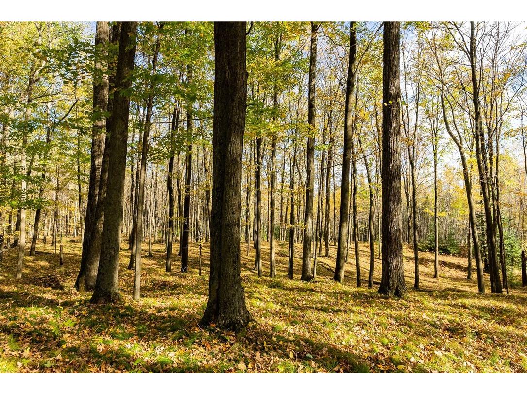 000 Padre Wittenberg WI 54499 1596245 image24