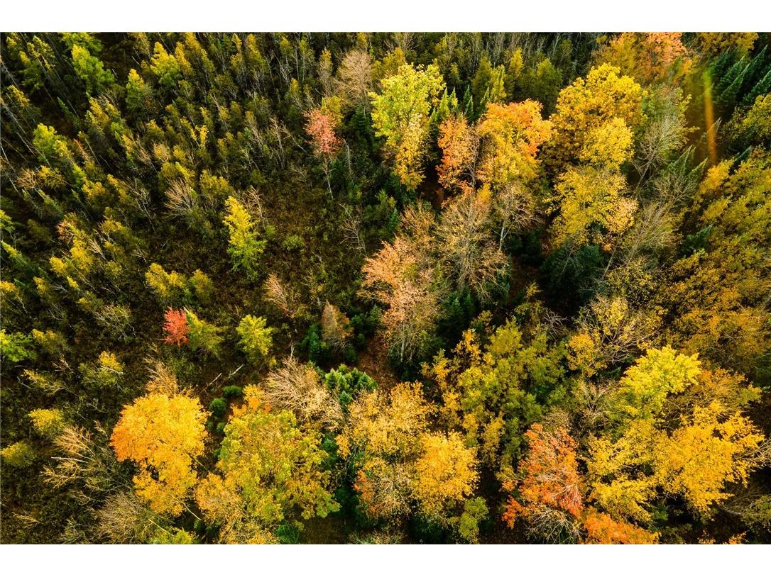 000 Padre Wittenberg WI 54499 1596245 image25