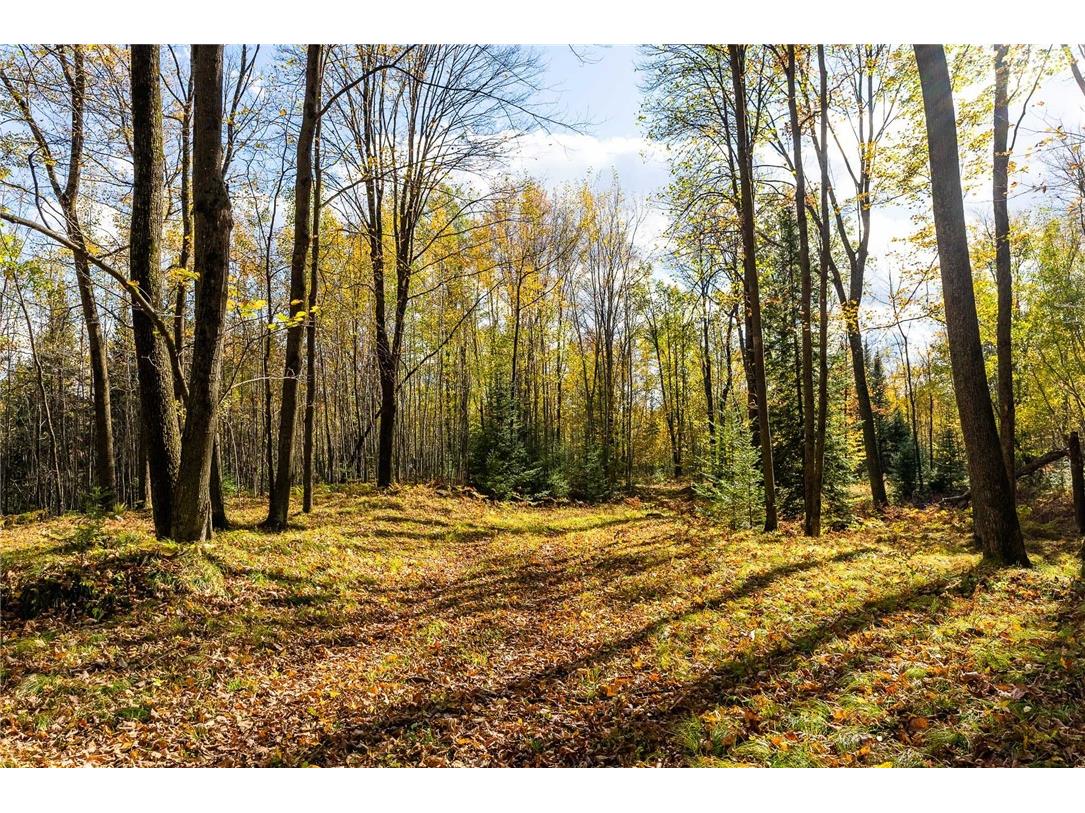 000 Padre Wittenberg WI 54499 1596245 image26