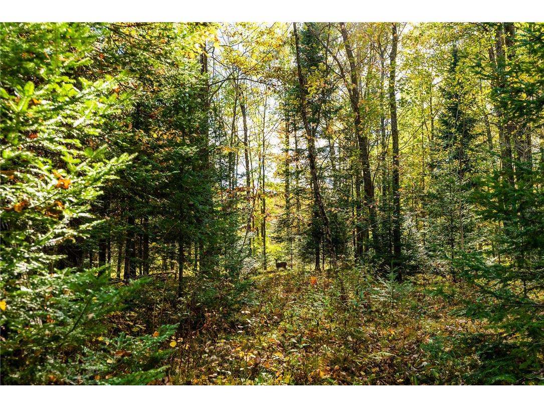 000 Padre Wittenberg WI 54499 1596245 image28