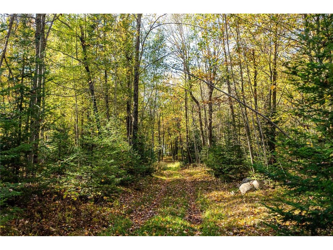 000 Padre Wittenberg WI 54499 1596245 image30