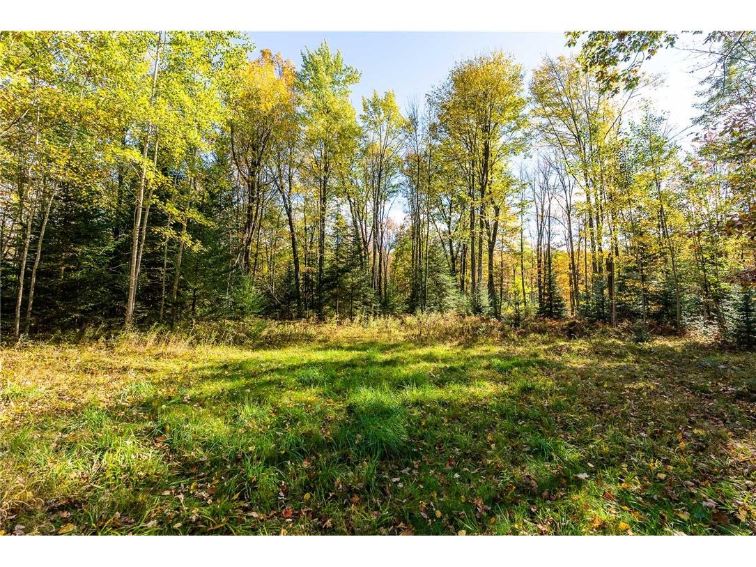 000 Padre Wittenberg WI 54499 1596245 image31