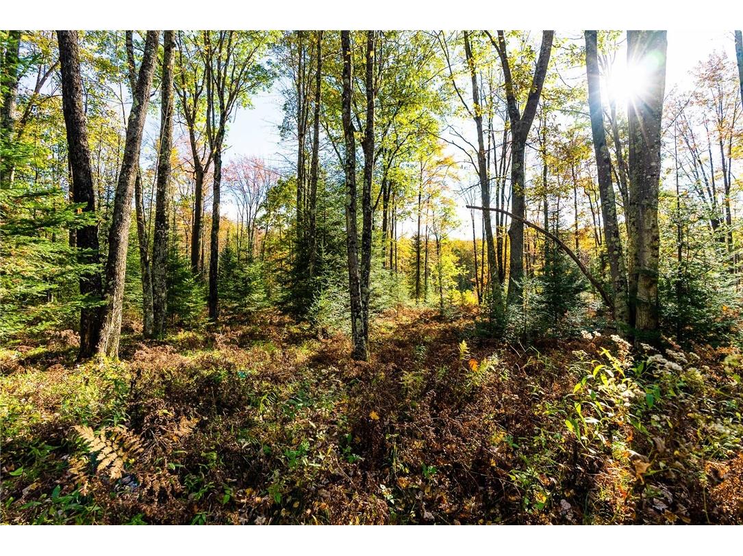 000 Padre Wittenberg WI 54499 1596245 image32