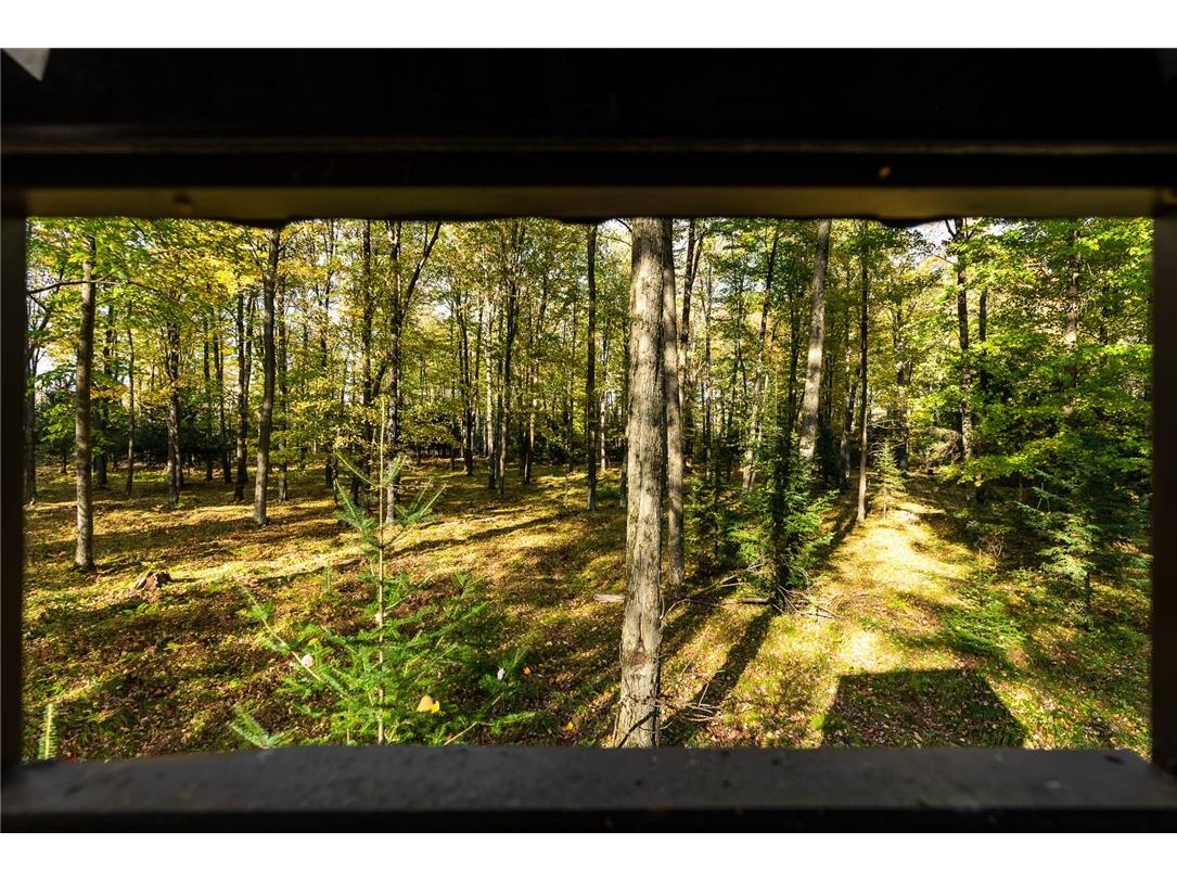 000 Padre Wittenberg WI 54499 1596245 image34