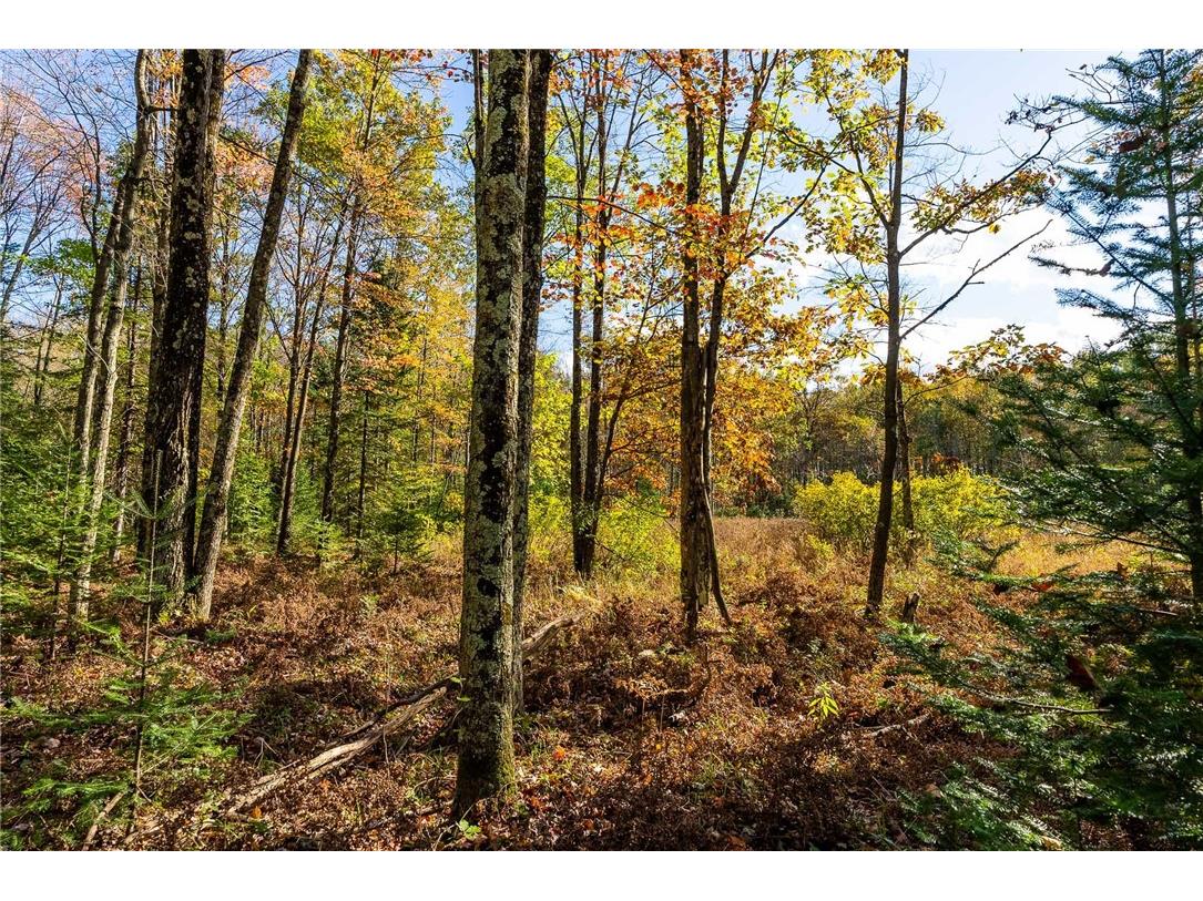 000 Padre Wittenberg WI 54499 1596245 image35