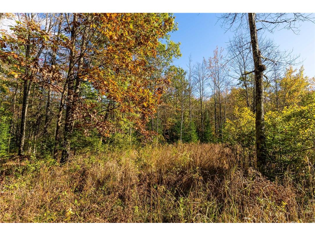 000 Padre Wittenberg WI 54499 1596245 image36