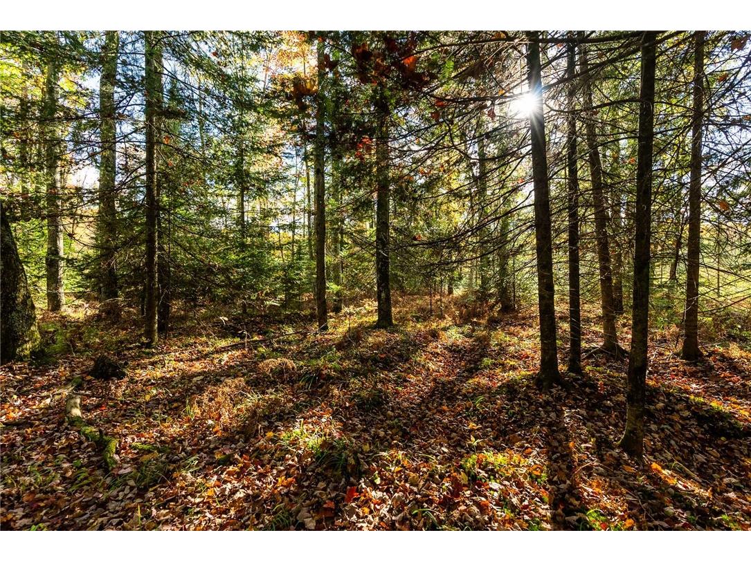 000 Padre Wittenberg WI 54499 1596245 image37