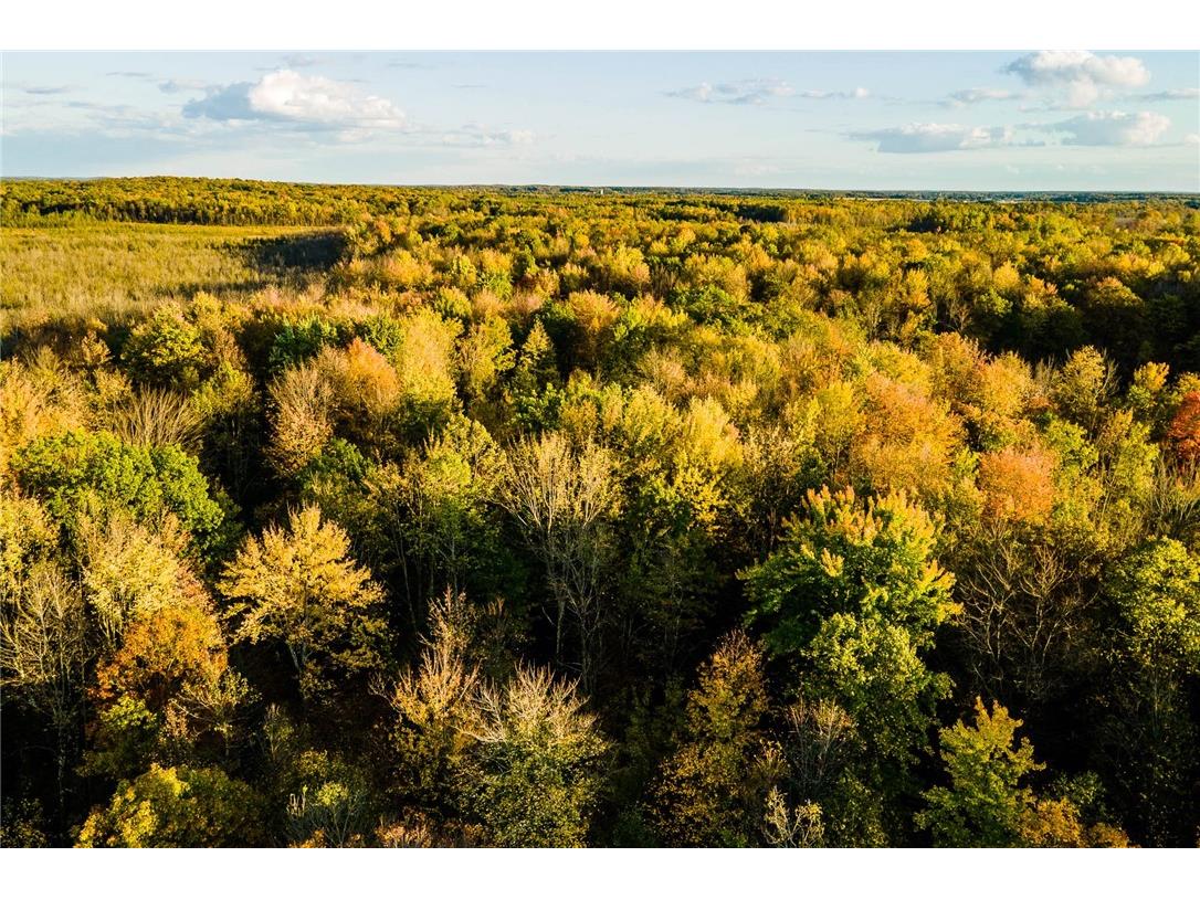 000 Padre Wittenberg WI 54499 1596245 image38