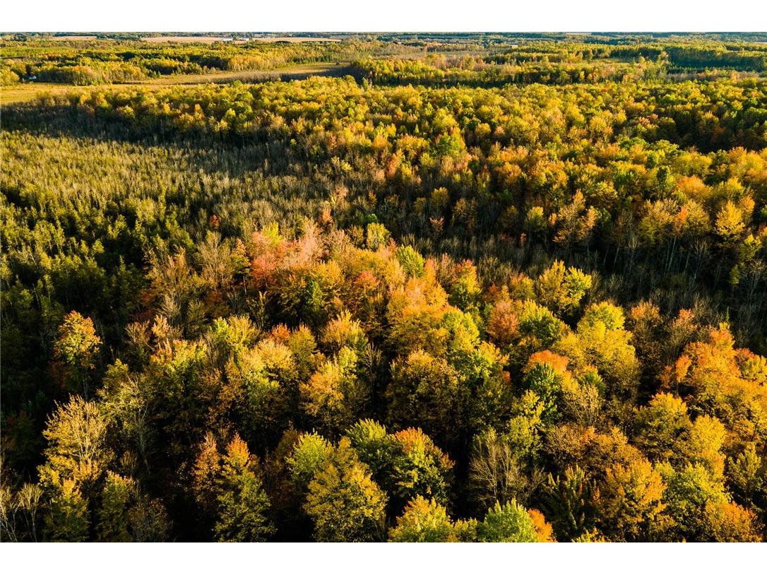 000 Padre Wittenberg WI 54499 1596245 image39