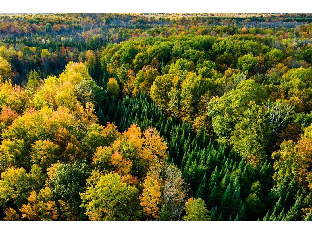 000 Padre Wittenberg WI 54499 1596245 image40